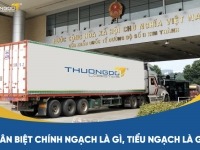 Phân biệt chính ngạch là gì, tiểu ngạch là gì? 