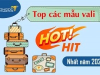 Order vali Taobao với 7 mẫu vali "HOT" "HIT" nhất năm 2024