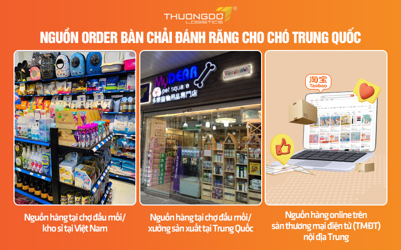 3 Nguồn order bàn chải đánh răng cho chó được mọi người lựa chọn nhiều nhất hiện nay