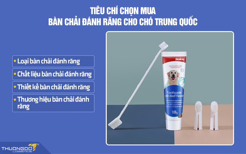 Một số tiêu chí chọn mua bàn chải đánh răng cho chó nội địa Trung bạn cần biết