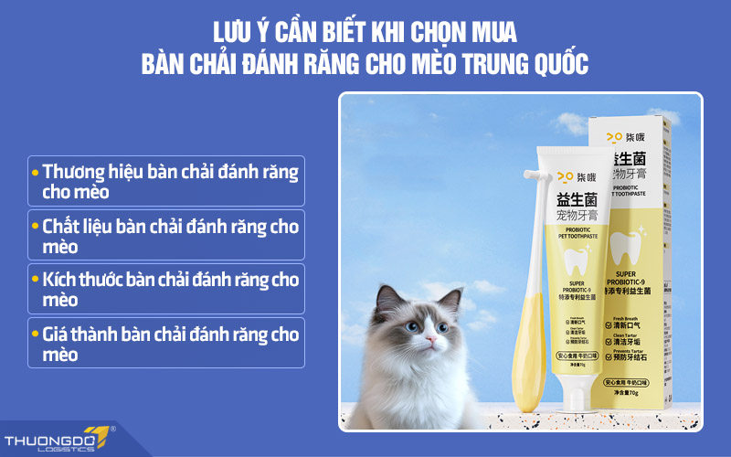 Một số lưu ý cần biết khi chọn mua bàn chải đánh răng cho mèo