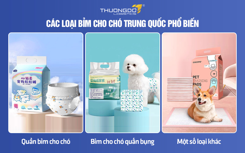 Các loại bỉm cho chó nội địa Trung phổ biến hiện nay