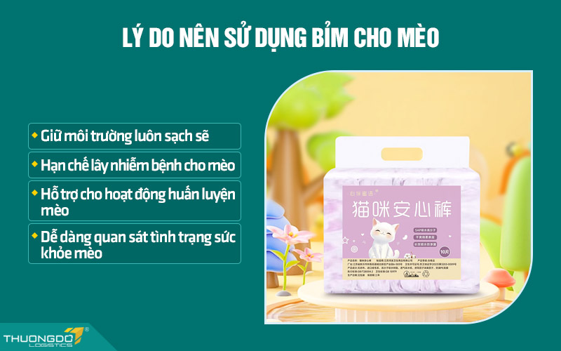 Lý do nên sử dụng bỉm cho mèo, nhất là mèo nhỏ