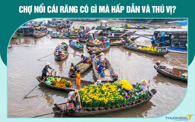 Chợ nổi Cái Răng và những kinh nghiệm đi chợ đầy đủ nhất