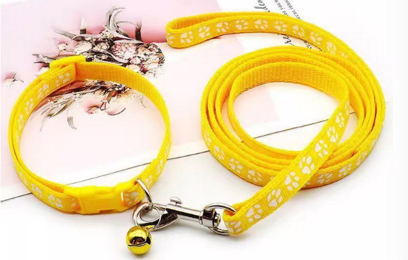 Dây dắt kèm vòng cổ họa tiết