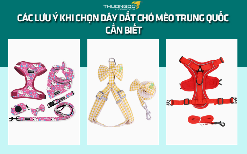 Các lưu ý khi chọn dây dắt chó mèo Trung Quốc cần biết