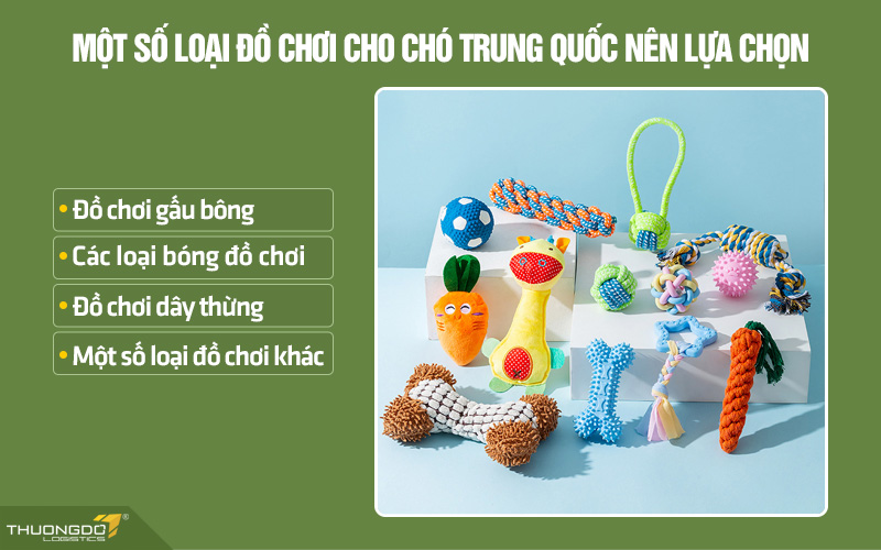 Các loại đồ chơi chó chó nội địa Trung được chọn mua nhiều nhất hiện nay