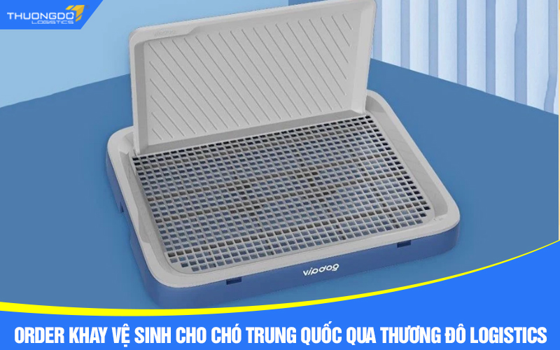 Order khay vệ sinh cho chó Trung Quốc giá rẻ qua Thương Đô Logistics