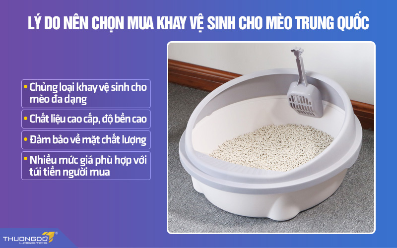 Một số lưu ý nên chọn mua khay vệ sinh cho mèo nội địa Trung