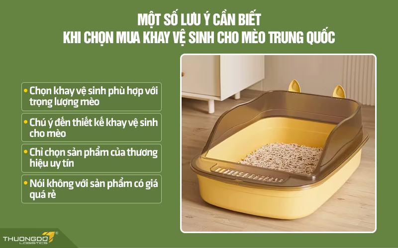 Một số lưu ý cần biết khi chọn mua khay vệ sinh cho mèo nội địa Trung