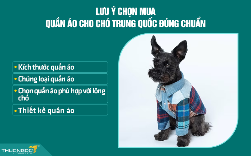 Lưu ý chọn mua quần áo nội địa Trung cho chó bạn cần biết